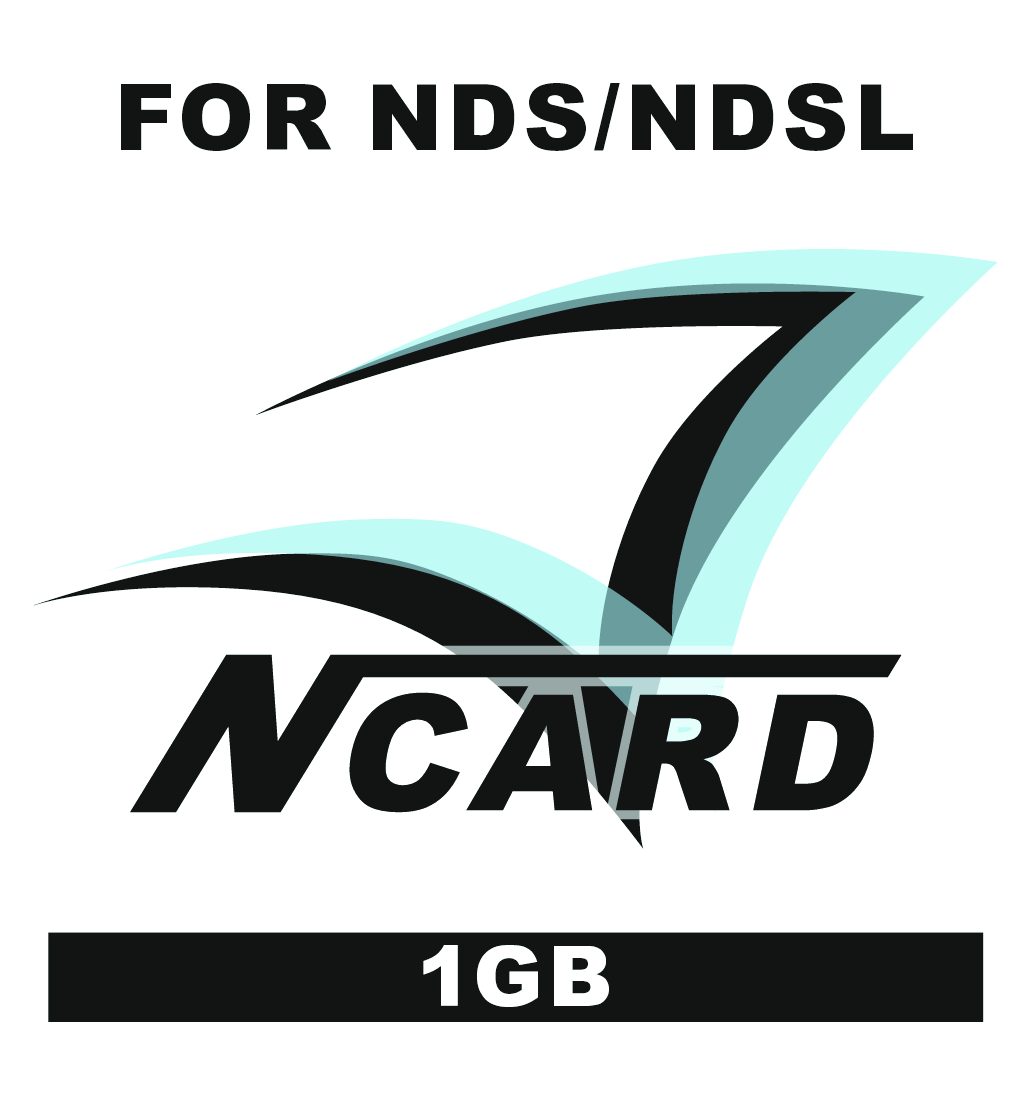 NCard 1GB